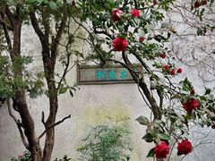 -留园