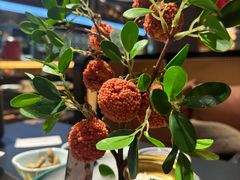 -长安大牌档之龙头酒肆(荣民龙首广场店)