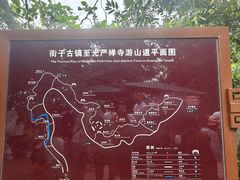 -凤栖山