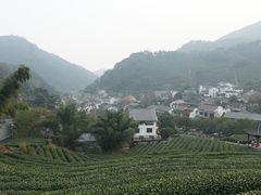 -龙井村