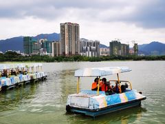 -飞来湖湿地公园