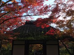 -常寂光寺