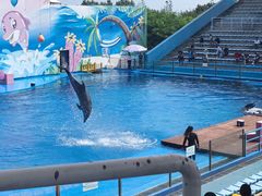 -北戴河圣蓝海洋公园