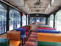 -合肥滨湖国家森林公园