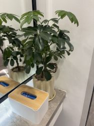 -LJOY丽锦造型·烫发染发