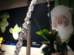 -北京植物园-展览温室