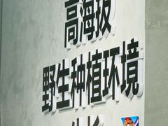 -花菇朵 ll 野生菌火锅·精品云南菜(后沙峪店)