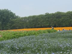 -江苏三台山国家森林公园