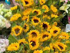 -循礼门鲜花花市(武汉循礼门店)