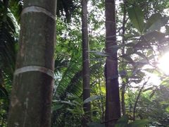 iphone_upload_pic-七仙岭君澜度假酒店