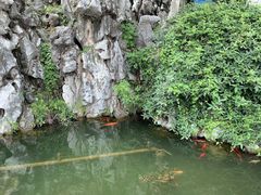 -菊花台公园