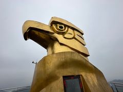 -大金鹰园