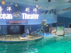 -苏州海洋馆