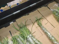 -京客隆超市(北苑店)