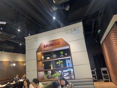 -三猫黑鱼花(南大店)