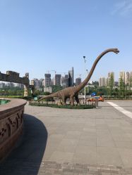 -恐龙探索乐园(磁器口店)