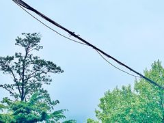 -燕儿岛山公园