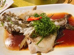 -大树头森林餐厅(番禺广场店)