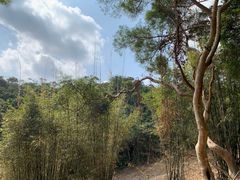 -梧桐山风景名胜区