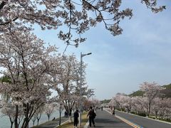-羊山湖公园
