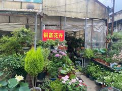 -金陵花卉交易市场