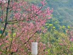 -广州市白云山风景名胜区