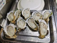 生蚝-海大南门夜市(海富街店)
