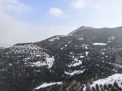 -雁门关景区
