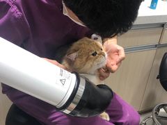 -宠颐生动物医院·小陆分院