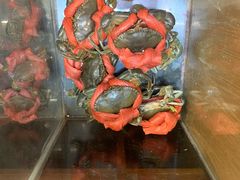 -传统香辣蟹(南园路店)