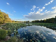 -长春市南湖公园