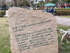 -音乐广场