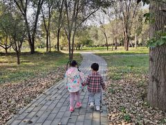 -廊坊市自然公园