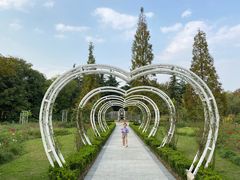 -昆山城市生态森林公园