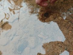 -芦沟竹海