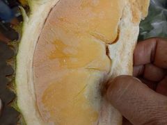 -都念榴莲·城市榴莲