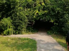 -国家植物园南园