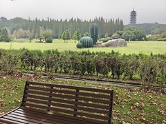 -宜兴龙背山森林公园