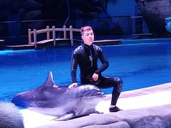 -华夏文旅海洋公园