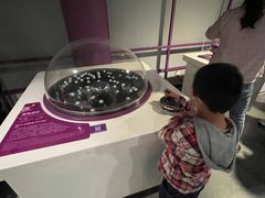 -陕西科学技术馆