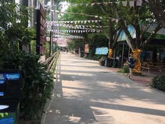-广州长隆飞鸟乐园