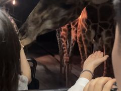 -清迈夜间动物园