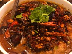 -铁公鸡·四川料理(天环广场店)