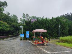 -南沙蒲洲花园