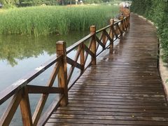 -云岗森林公园