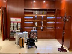 -郑州新郑国际机场T2航站楼-贵宾厅B区