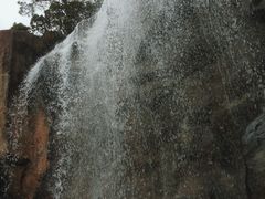 -金鸡山公园