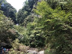 -石台牯牛降景区