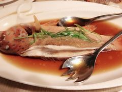 清蒸石斑-Isla Sugbu Seafood City