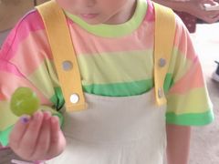 -马陆小张葡萄园农家乐